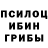Псилоцибиновые грибы Magic Shrooms Stas Akhramieiev