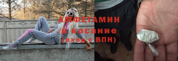 стаф Вязьма