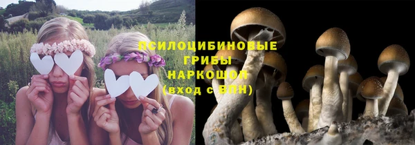 mdpv Вяземский