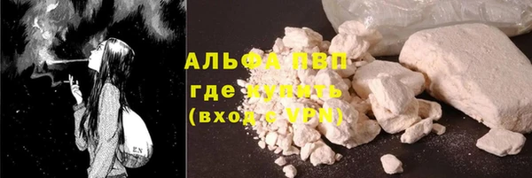 стаф Вязьма