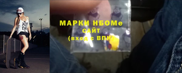 стаф Вязьма