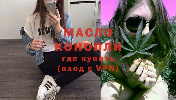 стаф Вязьма