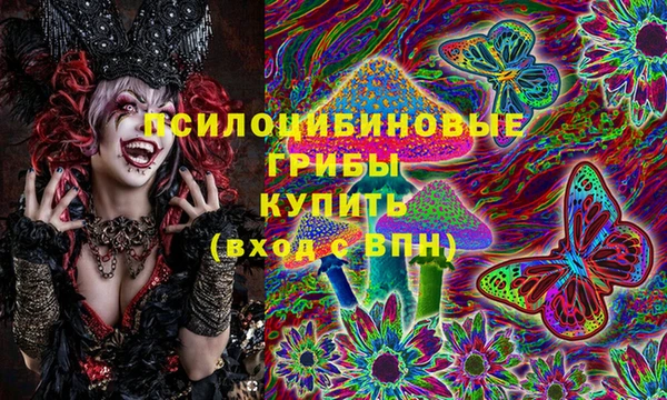 стаф Вязьма