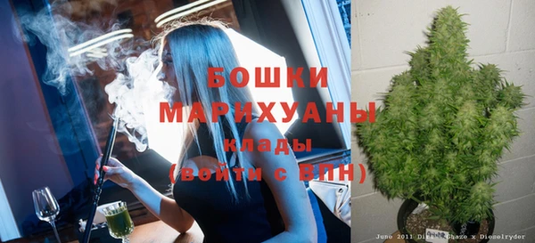 стаф Вязьма