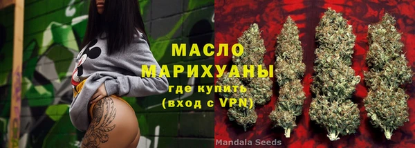 стаф Вязьма
