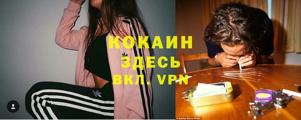 mdpv Вяземский