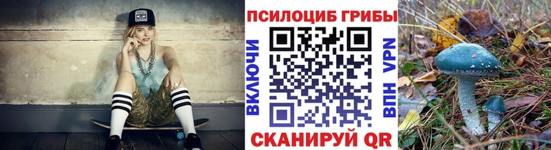 Псилоцибиновые грибы ЛСД  Купить закладки  Карасук 